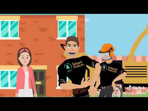 Tree surgeon custom 2D animation explainer video thumbnail